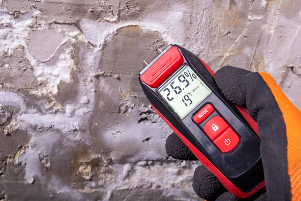 Best Health and Safety Mold Remediation in World Golf Village, FL